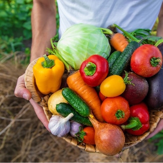 Produce in a basket being held in hand